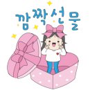 꽃담은수제화분