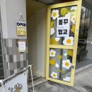 성수 소품샵 투어 필수 코스! <오브뉴> 볼꾸 후기