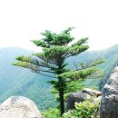 영축산 이미지