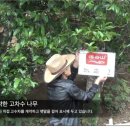 이코비 네이버블로그