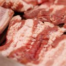 탐라가든 이미지