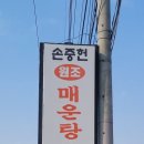 손중헌원조논메기매운탕 이미지