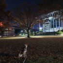 다다모모 이미지