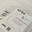 다나뷰티 | KF94마스크 새부리형마스크 다나 오브 뷰티라인 자외선차단마스크 후기