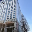 SY뷰티 | 서현역속눈썹펌 자연스럽게 잘하는 곳, 분당속눈썹 SY수영뷰티 후기