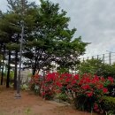 허준근린공원 이미지