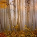 석양빛민박 이미지