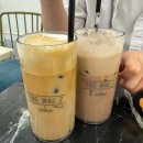 왈츠호텔 | 강남역ㅣ내돈내산으로 애견카페에서 신나게 놀다온후기(더왈츠 앤 조이피아 강남)