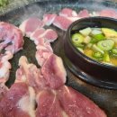 산천오리
