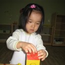아리솔