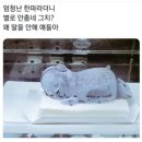 그냥 그렇게 되는 거겠지