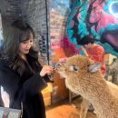 스트릿테이블 | 송도 트리플스트리트 실내동물원 테이블에이 앤 로우캣 후기