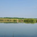 남한강낚시 이미지