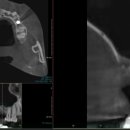 365안락한치과의원 이미지