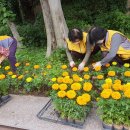 덕포2동행정복지센터 이미지