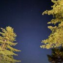 (주)서원아이엔 | [경북] 안동 도산서원 야간개장 ‘매화춘야’ 도산산책극 후기