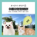 야옹아 멍멍해봐(에코시티점) 네이버블로그