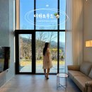 힐링펜션 | 춘천 가성비 독채 숙소 더하트우드 감성 펜션 바베큐 힐링 후기