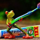 다나은치과의원 이미지