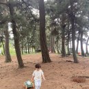 궁평항 입구 공중화장실 이미지