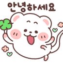 라요메이크업 이미지