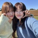 선민목장 네이버블로그