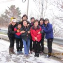 배꼽친구 이미지