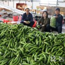 천현농장 이미지