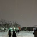 (공연) 사라장&비르투오지 | 전북 전주 디자인보라 사라장 &amp; 비르투오지 공연 관람 후기 @한국소리문화의전당모악당