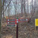 함양-5 | 오르GO함양 감투산 &amp; 대봉산(계관봉)