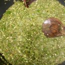 태리농장 이미지