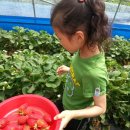 장현농장 이미지