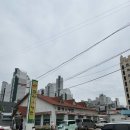 금성칡냉면 | [광주 봉선동] 금성 칡냉면 내돈내산 후기 (냉면 좋아하시는 분들 강추)