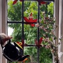 "고집이와 똑똑이" 이미지