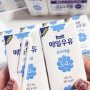 매일우유서부산유통 | 매일우유 멸균 미니 125ml, 홈카페 라떼만들기 최적의 소용량 우유 후기