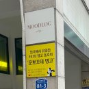 루비댄스무도학원 | 처음 배워본 홍대 탱고 수업 체험 [운뽀꼬데 탱고] 원데이 클래스 후기