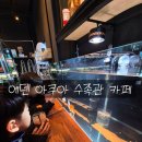에덴수족관