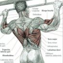 제라피트니스 이미지