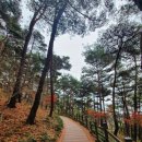 세븐일레븐광주수완주공점 | 부동산아파트 투자상담 후기, 산수동 그린웰로제비앙편