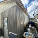 표선리-3 이미지