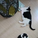 그랜드벳동물병원 이미지