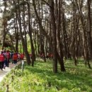 장항보건지소 이미지