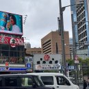 우성미트 | 여자 혼자 도쿄 여행 2박 3일 | 2일차 - 츠키지 시장/다도 코로/마구로야 쿠로긴 웨이팅 꿀팁/터렛커피...