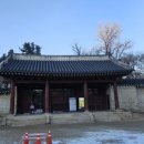 세운식당 | 서울 종로 세운상가 오래된 노포 맛집 '대성식당'의 '낙곱새 찌게' 내돈내산 시식후기..