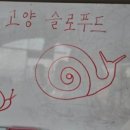 막줄래퍼줄래 이미지