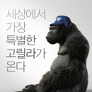 미스터고 이미지