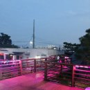 세모난나무 이미지