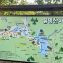 계곡속의바위집 | 가평 유명산자연휴양림 벼락바위 숙박 후기｜산림복합체험센터·오렌지루프 계곡카페까지