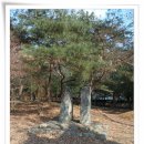 완주 - 송광사
