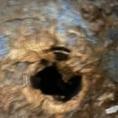 스피드 크리닝 이미지